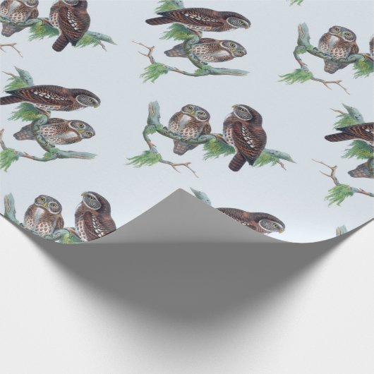 Vintages Owl Wrapper Geschenkpapier (Ecke)