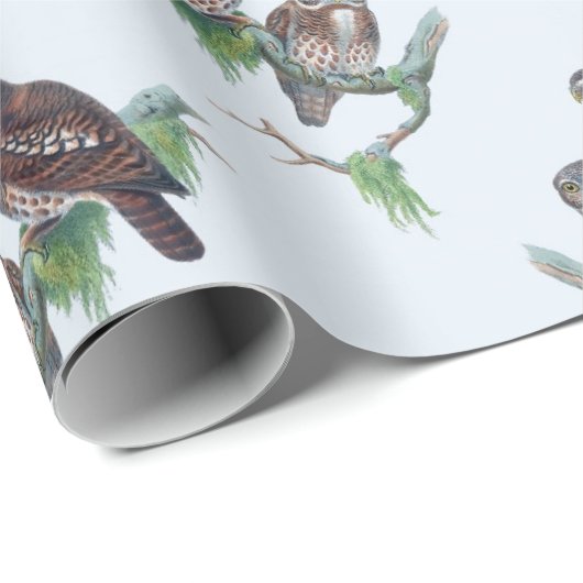 Vintages Owl Wrapper Geschenkpapier (Rolleneckpunkt)