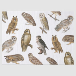 Vintages Owls-Muster Seidenpapier