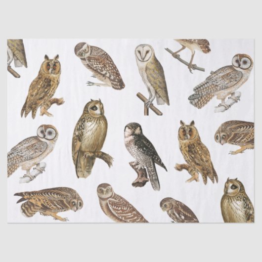 Vintages Owls-Muster Seidenpapier (Vorderseite)