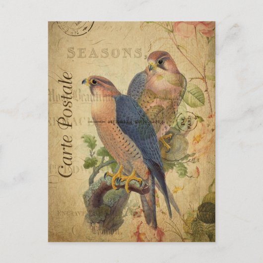 Vintages Paar Peregrine Falcons Vögel Französisch Postkarte (Vorderseite)