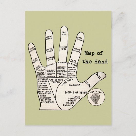 Vintages Palmlesen Postkarte (Vorderseite)