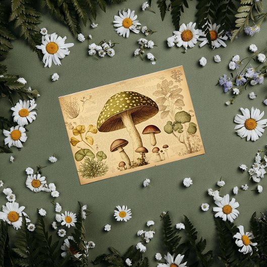Vintages Papier Mushroom-Französisch-Decoupage