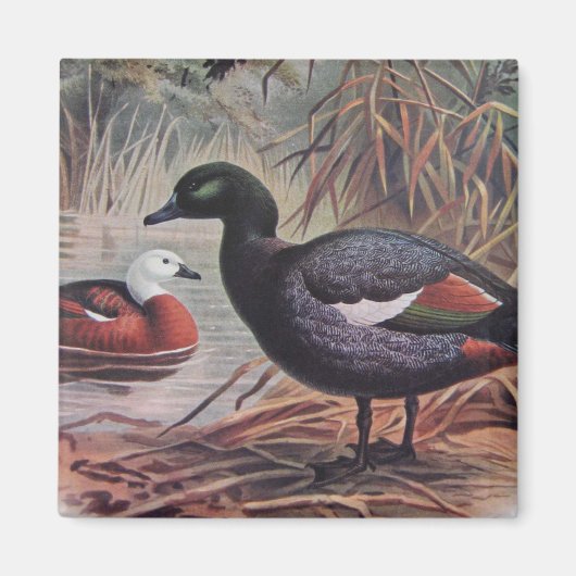 Vintages Paradies Magnet (Vorne)