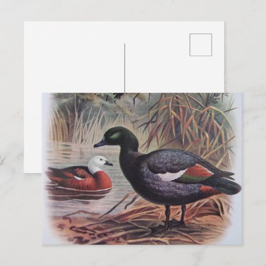 Vintages Paradies Postkarte (Vorne/Hinten)