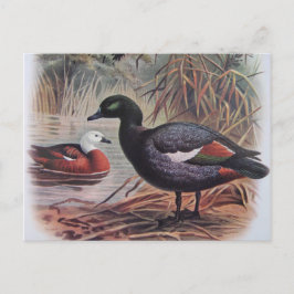 Vintages Paradies Postkarte