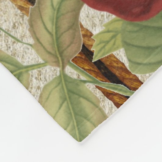 Vintages Paris-Design Fleecedecke (Ecke)