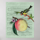 Vintages Peach and Bird Poster (Vorne)