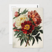 Vintages Peony: Zeitlose Blumendekoration Postkarte (Vorne/Hinten)