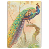 Vintages Pfau auf einem Ast-Gemälde Klemmbrett (Rückseite)