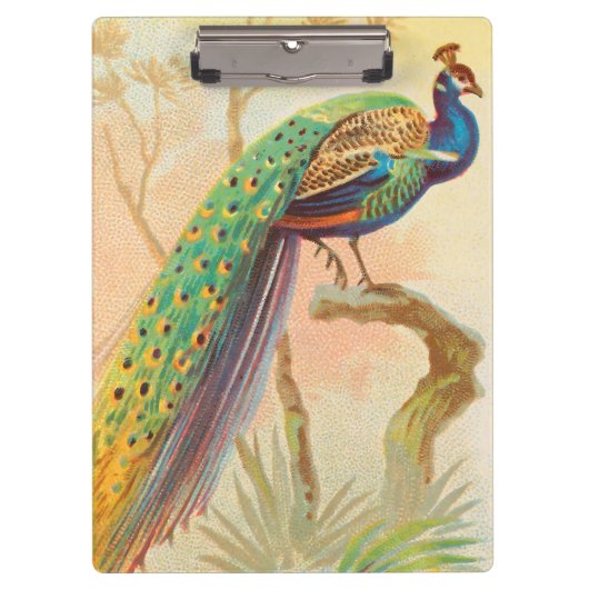 Vintages Pfau auf einem Ast-Gemälde Klemmbrett (Vorderseite)