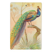 Vintages Pfau auf einem Ast-Gemälde Mini Klemmbrett (Rückseite)