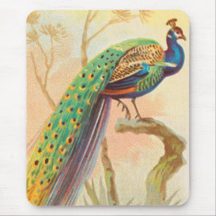 Vintages Pfau auf einem Ast-Gemälde Mousepad