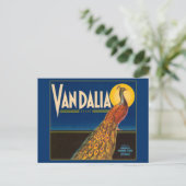 Vintages Pfauenfruchtkastensiegel Postkarte (Stehend Vorderseite)