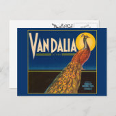 Vintages Pfauenfruchtkastensiegel Postkarte (Vorne/Hinten)