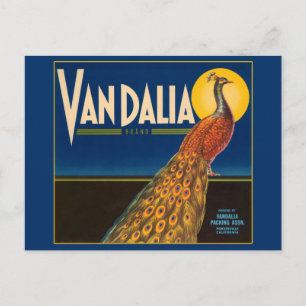 Vintages Pfauenfruchtkastensiegel Postkarte