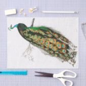 Vintages Pfauengeflechtpapier Seidenpapier (Handwerk)