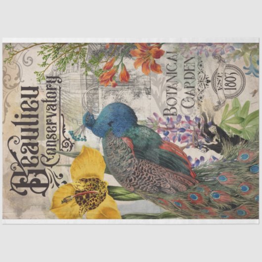 Vintages Pfauengeflechtpapier Seidenpapier (Vorderseite)