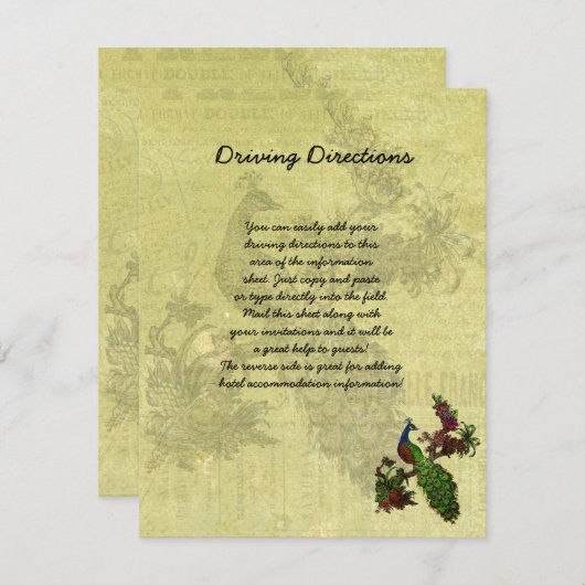 Vintages Pfaueninformations-blatt Begleitkarte (Vorne/Hinten)