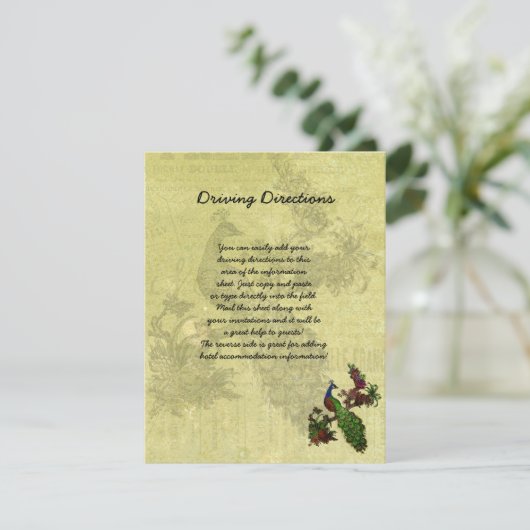 Vintages Pfaueninformations-blatt Begleitkarte (Stehend Vorderseite)