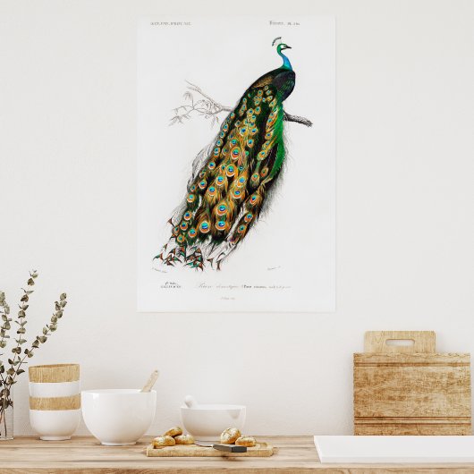 Vintages Pfauenposter Poster (Küche)