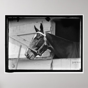 Vintages Pferd 1913 Poster