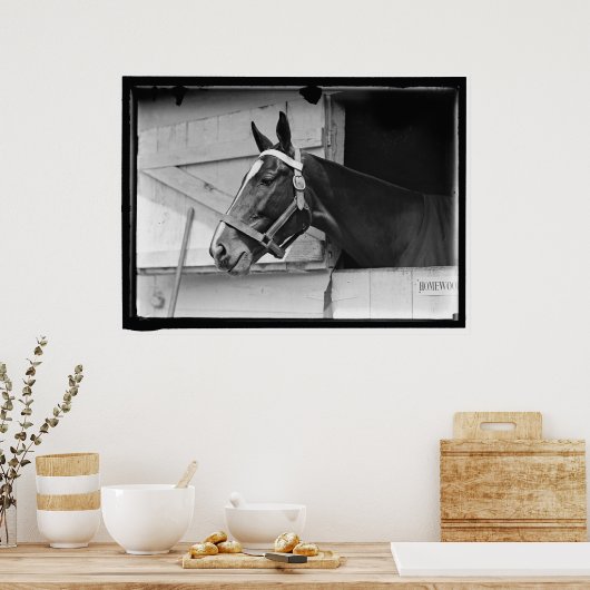 Vintages Pferd 1913 Poster (Küche)