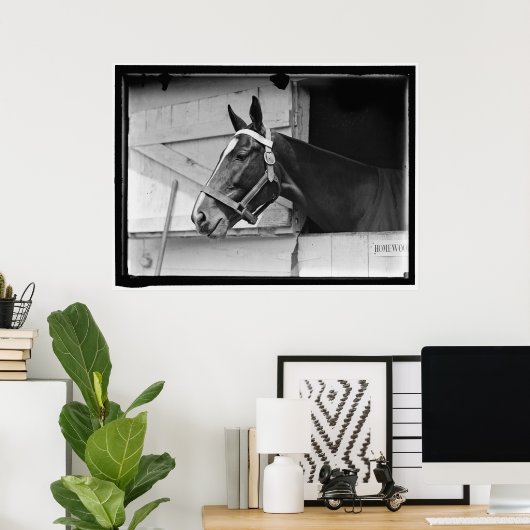 Vintages Pferd 1913 Poster (Heimbüro)