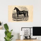 Vintages Pferd aus den 1800er Jahren - Pferdevorla Poster (Heimbüro)