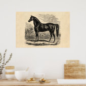 Vintages Pferd aus den 1800er Jahren - Pferdevorla Poster (Küche)