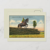 Vintages Pferd Jumping Aikin SC Postkarte (Vorne/Hinten)