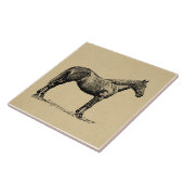 Vintages Pferd Kunst, Illustriert Reiten Fliese (Seite)