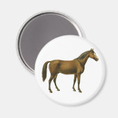 Vintages Pferd Magnet (Vorderseite/Rückseite)
