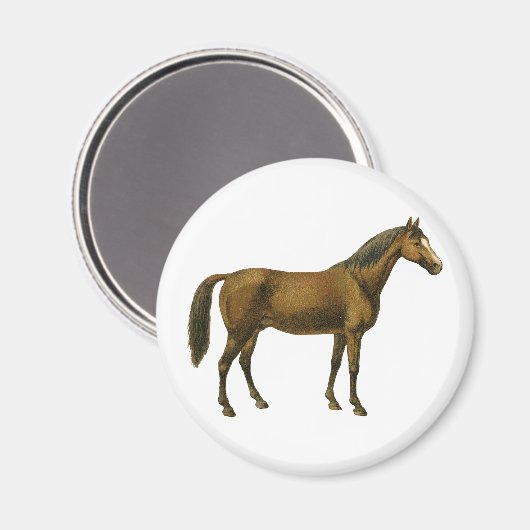 Vintages Pferd Magnet (Vorderseite/Rückseite)