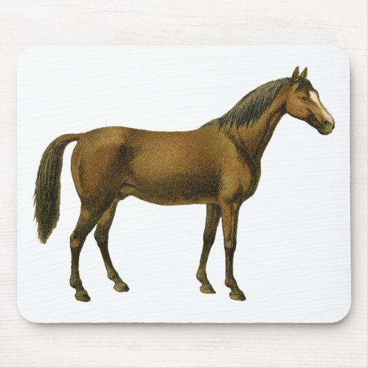 Vintages Pferd Mousepad (Vorne)