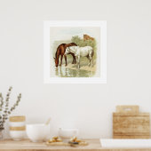 Vintages Pferd Poster (Küche)
