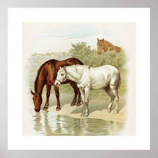 Vintages Pferd Poster (Vorne)