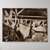 Vintages Pferd Poster (Vorne)