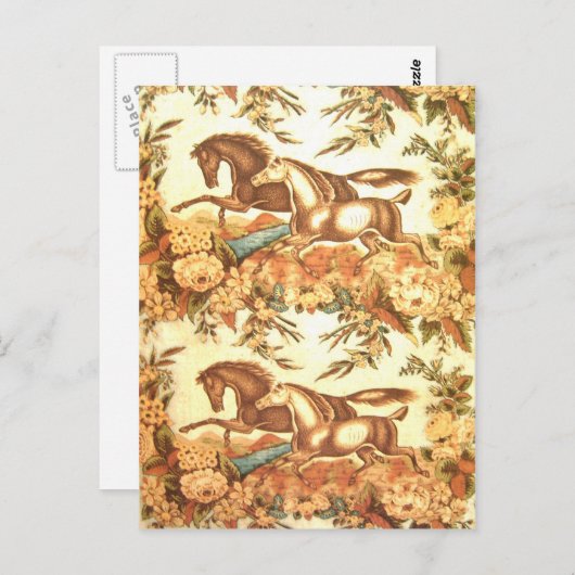 Vintages Pferd Postkarte 3 (Vorne/Hinten)