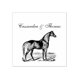 Vintages Pferd Stehend Gummistempel