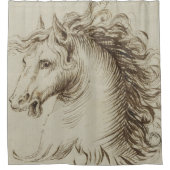 Vintages Pferdebild V 1 Duschvorhang (Vorderseite)