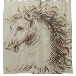 Vintages Pferdebild V 1 Duschvorhang