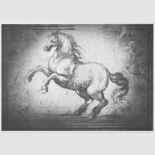 Vintages Pferdegewebe oder Entbeinungspapier Seidenpapier (Vorderseite)