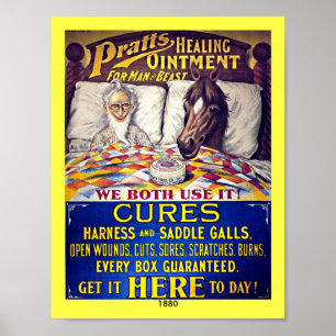Vintages Pferdeliniment 1880: Pratts Pferdesalbe Poster