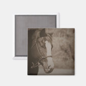 Vintages Pferdemagnet Magnet (Vorderseite/Rückseite)