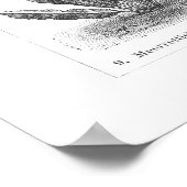 Vintages pflanzliches Pflanzenkopfblatt Botanische Poster (Ecke)