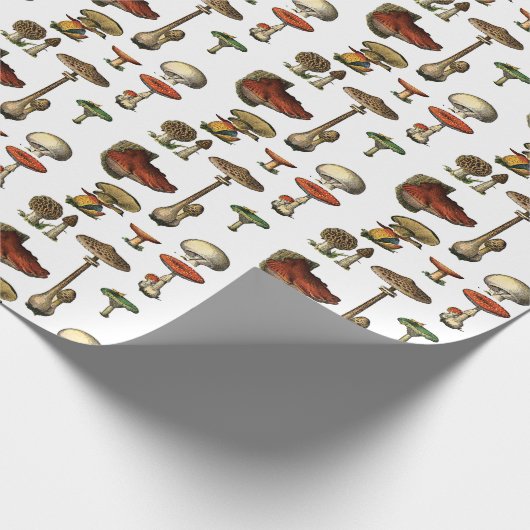 Vintages Pilz-Verpackungs-Papier Geschenkpapier (Ecke)