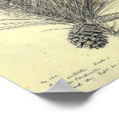 Vintages Pine Branch Poster (Ecke)
