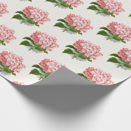 Vintages Pink Hydrangea Blumenmuster Geschenk Geschenkpapier (Ecke)