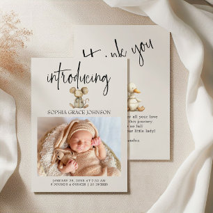 Vintages Plush Kinderzimmer Tiere Ankündigung